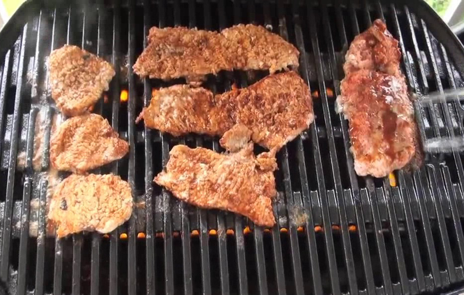 carne jacare churrsaco